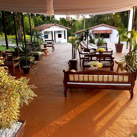 Raizama Fazenda Hotel Alexania Extérieur photo